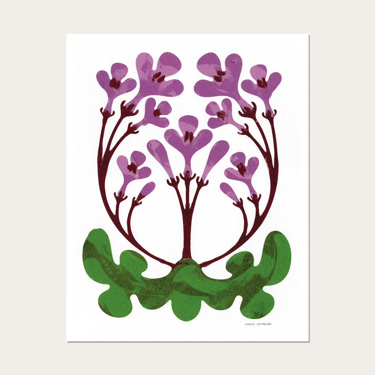 Cape Primrose - 11"x14"