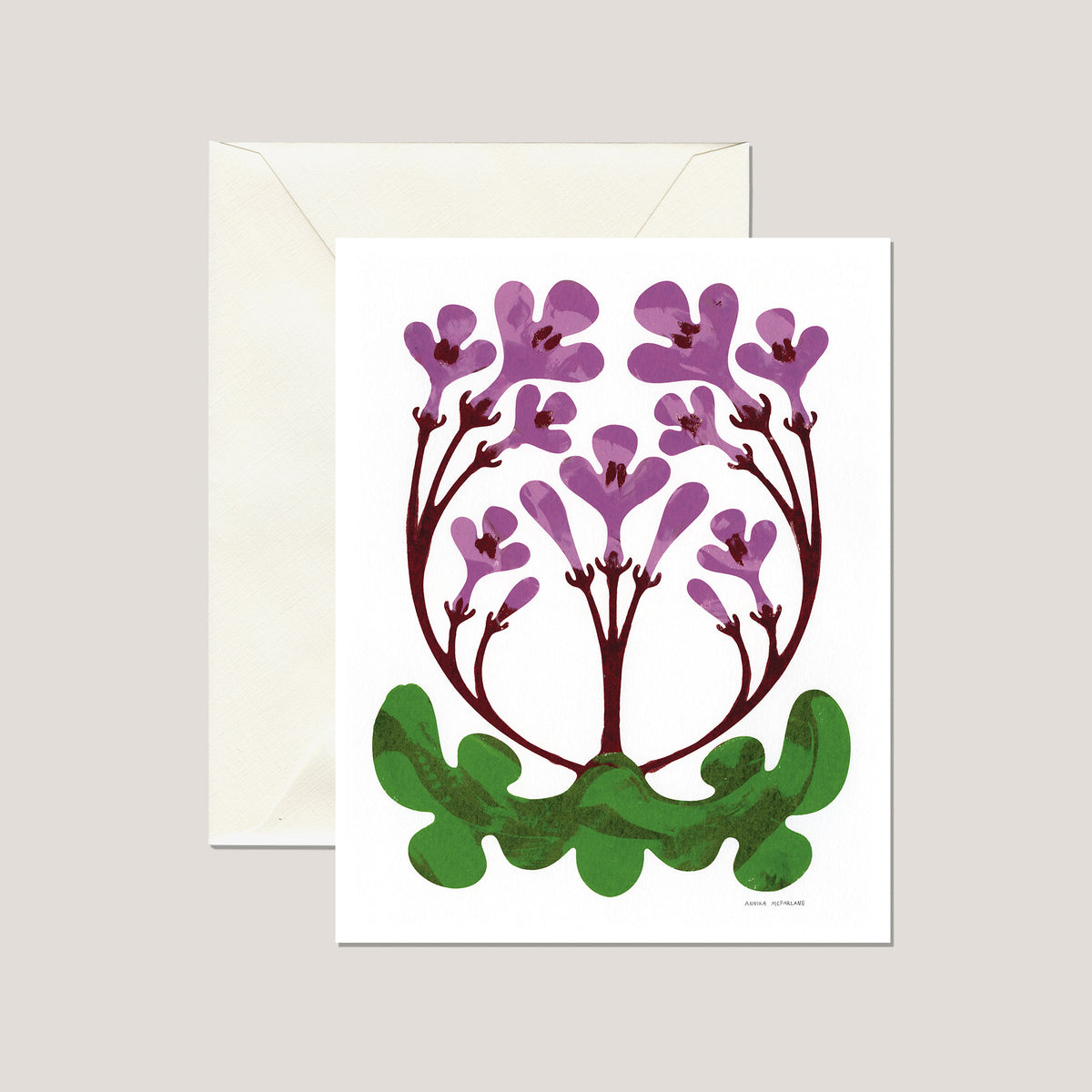 Cape Primrose Greeting Card