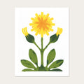 Hawkweed - 11"x14"