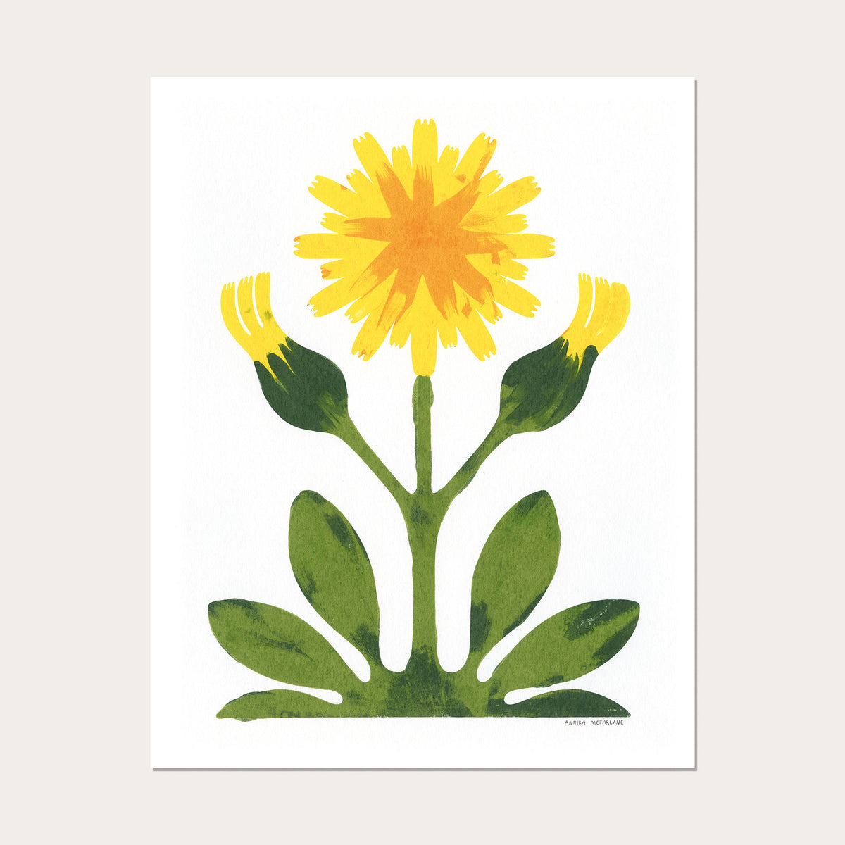 Hawkweed - 11"x14"